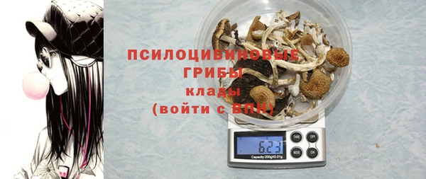 гашик Абаза