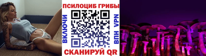 ОМГ ОМГ сайт  Иваново  Псилоцибиновые грибы Psilocybine cubensis 